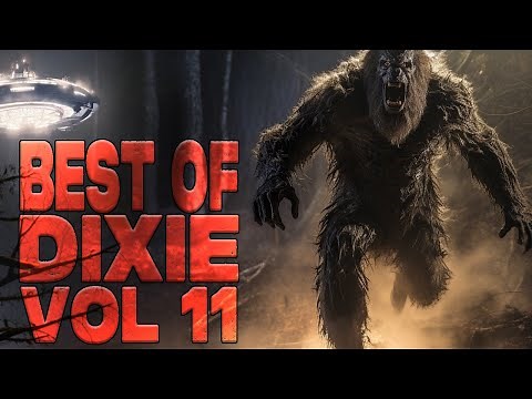 Best of Dixie Vol 11 Two Hours of Stories