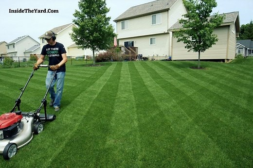 How To Fix Lawn Striping From Fertilizer- Best Way To Fix - Inside The Yard
