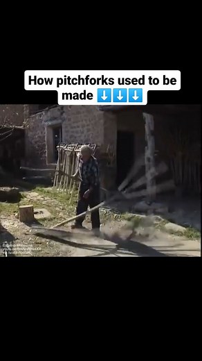 Traditional Aesthetics on Instagram: "Video showing how traditional pitchforks were made, It took 6 years starting from when the hackberry sprouts began to be oriented until it was ready for fieldwork."