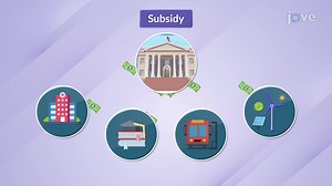Subsidy - Concept | Microeconomics | JoVe