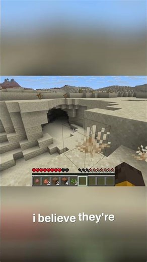 Minecraft Rabbits Spotted Are They Friendly or Food #minecraft #survival