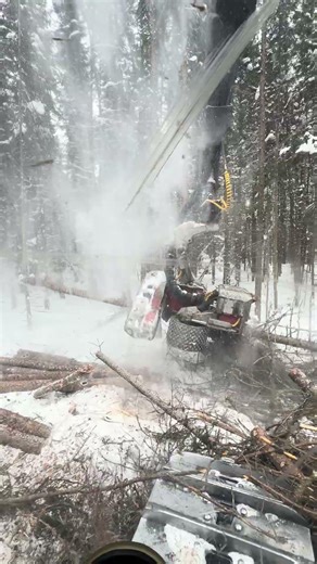 #logging #quebec #forestry #wood #forestmachine #forestrymachinery #foresterie🌲 #tigercat #logmax