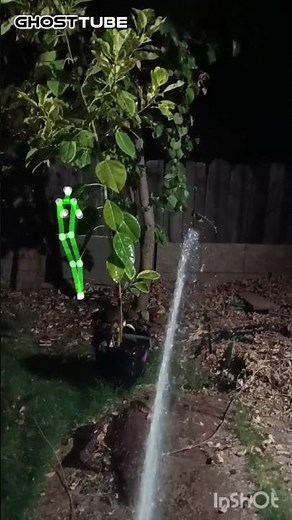 Using Ghost Tube SLS and it's interesting ...#paranormal #light #ghosttube #spirits #orbs
