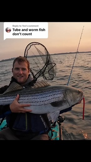 Replying to @Yes The tube is very effective for catching big bass but it’s never a guarantee! #fishri #trolling #bigbass #fishing #bigfish #bass #striper #howtofish #fishingtips #kayakfishing #fishtok #stripedbass