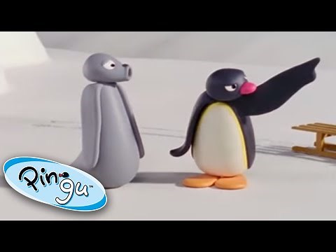 Pingu goes searching for Teddy | Pingu Official | Cartoons for Kids