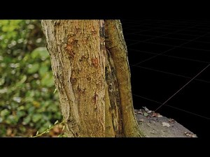 Photogrammetry with Meshroom - Creating a 3D Model from Images (Free Download!)