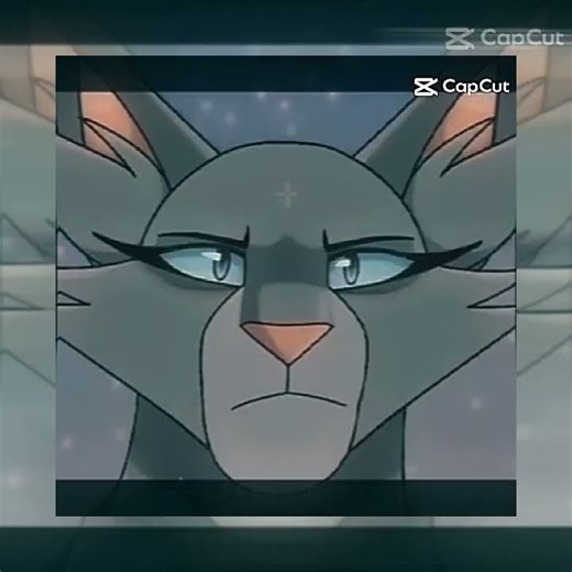 BLUESTAR EDIT! #mapleshade_lover_fan #edit #warriorcats #wc #warriors #bluestar