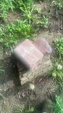 Putting Mineral Blocks out for deer