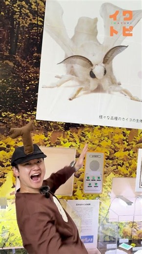 【知ってる？】シルクを生み出すカイコの世界 カイコ展に行ってみた！ #竜洋昆虫自然観察公園