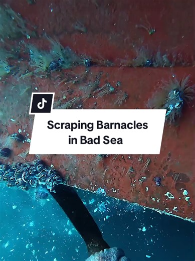 Scraping Barnacles in Bad Sea. #workhard #dive #ship #satisfyingvideos #work