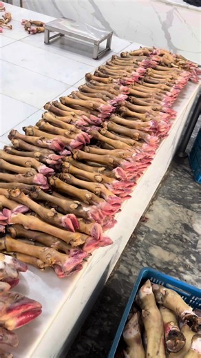 Special Paye Recipe from Meat Palace