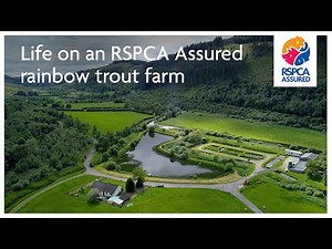 Life on an RSPCA Assured rainbow trout farm | Long version