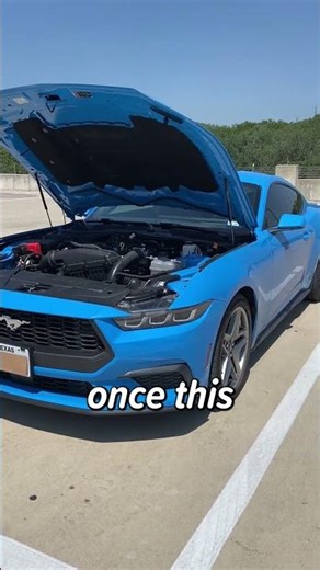 Searching for the Best Oil Filter for Performance… Is This the One?