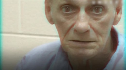 Paul Martin Andrews was a 13-year-old boy when Richard Ausley deceived him with the perfect lie to fulfill his darkest secrets. 30 years later, Richard was set free, but Paul would do everything in his power to prevent Ausley from getting out on the street... | The Witness