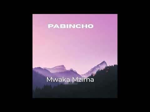 PABINCHO - Mwaka Mzima [Official Music]