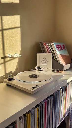 Manic Vinyl Record Player Setup | Vinyl Records Collection