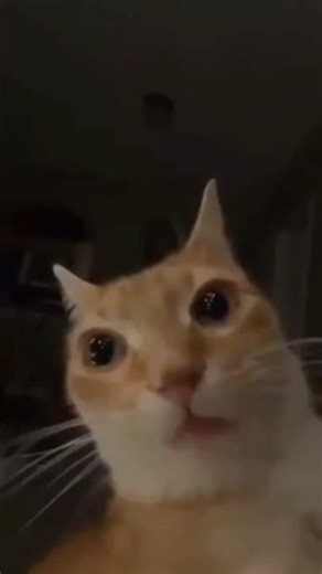 Undertale: The Movie