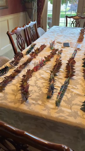 80 reactions | Ashley's Kitten Academy on Reels | Facebook