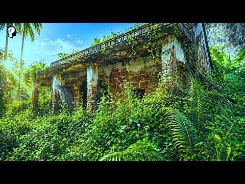 Clearing Dangerous Overgrowth from Historic Abandoned House