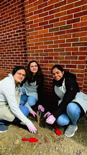 Parent Mentor Garden