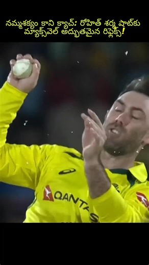 నమ్మశక్యం కాని క్యాచ్: రోహిత్ శర్మ షాట్‌కు మ్యాక్స్‌వెల్ అద్భుతమైన రిఫ్లెక్స్!