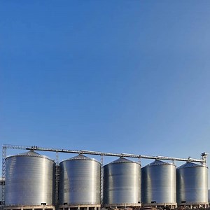[Hot Item] Grain Storage Silo with Drying System for Maize Corn Rice Wheat Soybean Grain Container Prices