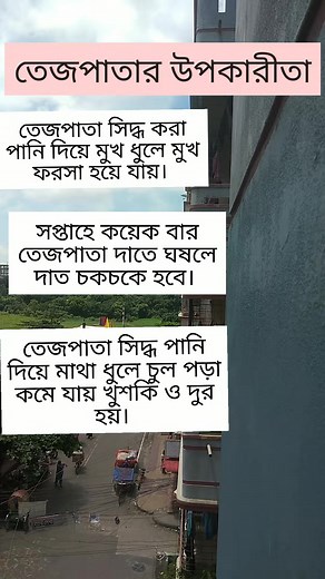 433K views · 1.8K reactions | তেজপাতার উপকারিতা #reelschallengereelschallenge #reelsvideoシ #fbreelsvideo | Sparkle by SOMA | Facebook