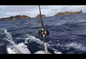 Portable inflatable boat with 5hp Yamaha
