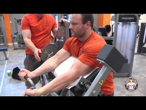 Bizepscurlmaschine - Hammer Strength Select SE Full Biceps Curl