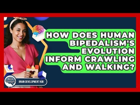 How Does Human Bipedalism's Evolution Inform Crawling And Walking? - Brain Development Hub