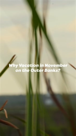 November is here!🦃 November on the Outer Banks is a great time to enjoy the beautiful views, peace and quiet, and have an unforgettable getaway. From celebrating Thanksgiving with a nice dinner or turkey trot to enjoying local seafood dishes and holiday markets, the Outer Banks is the perfect spot for your holiday✨ Click here to see what’s happening on the Outer Banks in November🔗bit.ly/47Sfzmv | Outer Banks Blue Vacation Rentals