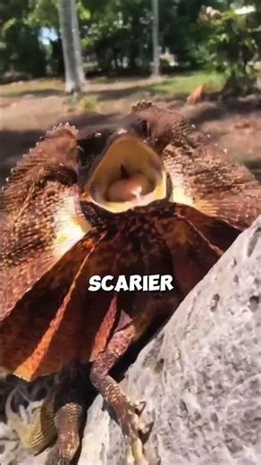 This defense move is next-level! #reptiles #animals #amazing