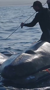 30M views · 102K reactions | Want to see history being made? Watch...