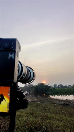342K views · 10K reactions | Sunset Silhouette of Grace A stunning capture of a bird resting on treetops, silhouetted against the glowing golden sun. The fiery orange sky creates a mesmerizing backdrop, symbolizing peace, beauty, and the harmony of nature. #SunsetSilhouette #NaturePhotography #GoldenHour #BirdLovers #SkyBeauty #PeacefulVibes #WildlifeMoments #SunsetMagic #NatureLovers #HDPhotography | Gautam Khirade | Facebook