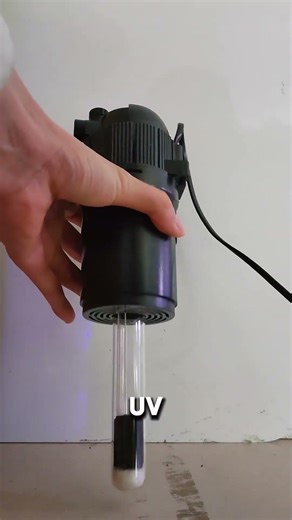 Stop aquarium algae with this smart UV timer