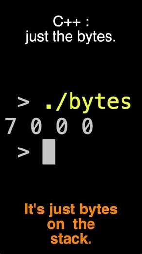 C++: Just the Bytes