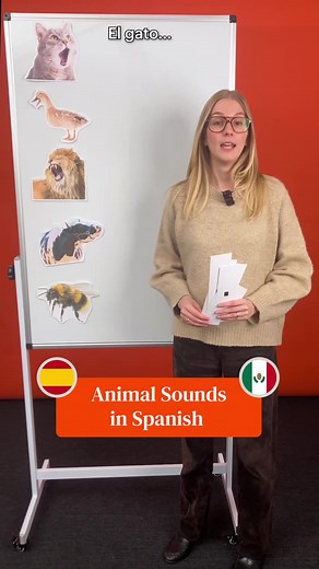 What Does a Bee Sound Like in Spanish?