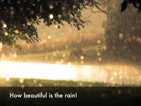 Rain in Summer Illustrated