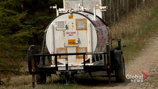 Fish and Wildlife search for bear that killed Water Valley resident