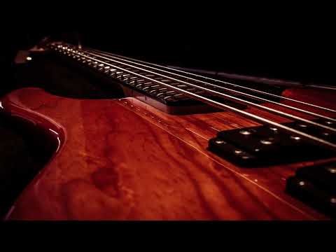 Modest Mouse - invisible (bass solo)