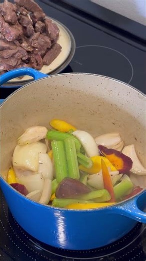 Elk Stew #cooking #homecuisine #dinnerrecipes #food #dinnerideas #elk #steak #shorts #slowcooker #ok