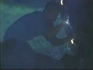 Rescue 911 Swarm Save Part 1 Rescue 911 Episode 502 Season 5