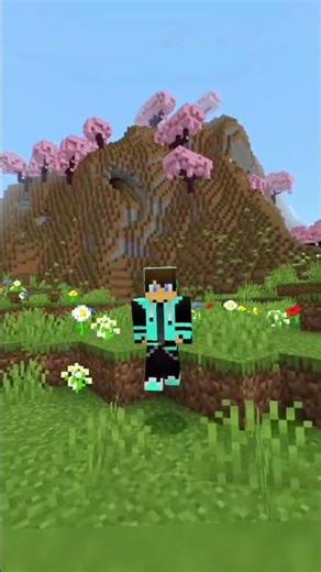 Basalt Generator In Minecraft...