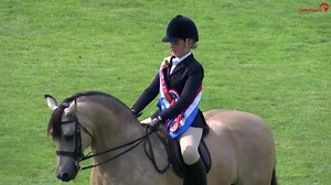 115K views · 5.9K reactions | ❤️ This Pony is just gorgeous!❤️ Congratulations to Grace Litherland and her beautiful pony Thunderbolt Fairy Robin Bambi for winning the UKPH Young Riders M & M Championship at The All England Jumping Course, Hickstead  ▶️ Head over to watch.clipmyhorse.tv/RIHS2021 to catch all the LIVE action | ClipMyHorse.TV Great Britain | Facebook