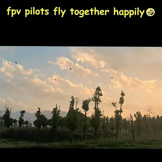 Multiple FPV Drones Flying Together! 🚁🚁🚁