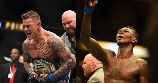 What is an interim champion in the UFC?