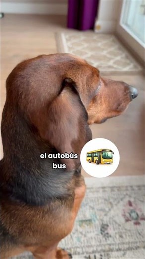 10 Spanish City Words | Everyday Vocabulary for Beginners