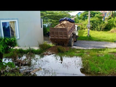 Perfect Start a New Project Size 9x16.m Skill D31P Dozer Push with Team Dump Trucks Work