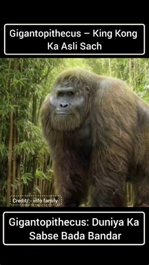 Gigantopithecus: The World's Largest Monkey | #facts दुनिया का सबसे बड़ा बंदर #amanzingfacts #shorts