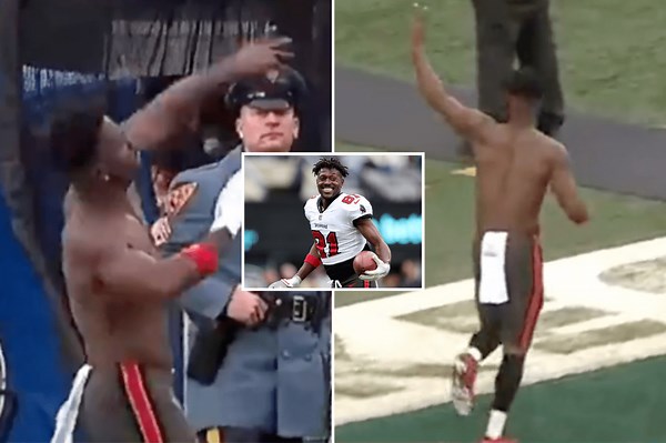 Antonio Brown took off jersey and gear, threw it into crowd, then ran to the locker room
